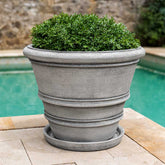 Photo of Campania Saucers - Marquis Gardens